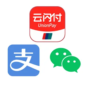 多种支付类型